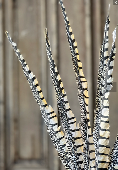 Black and White Feather Bunch – Rustic Whimsy for Any Space